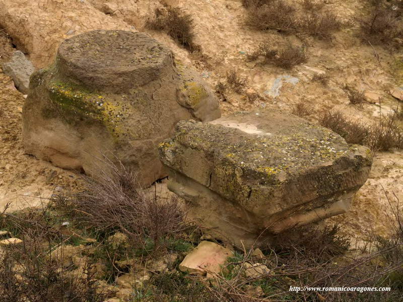 BASAS EN LA CERCANA DEL TEMPLO